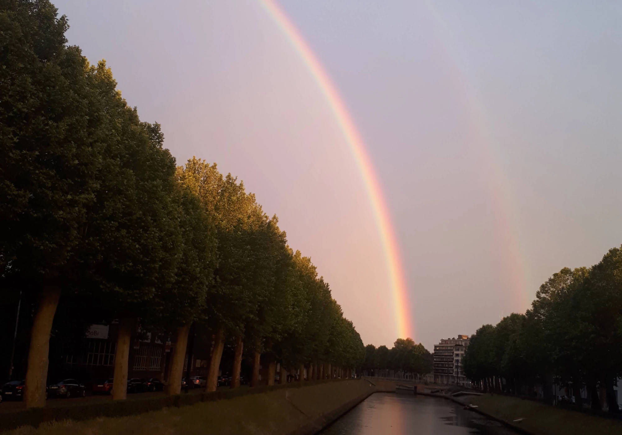 Foto van Koepuur