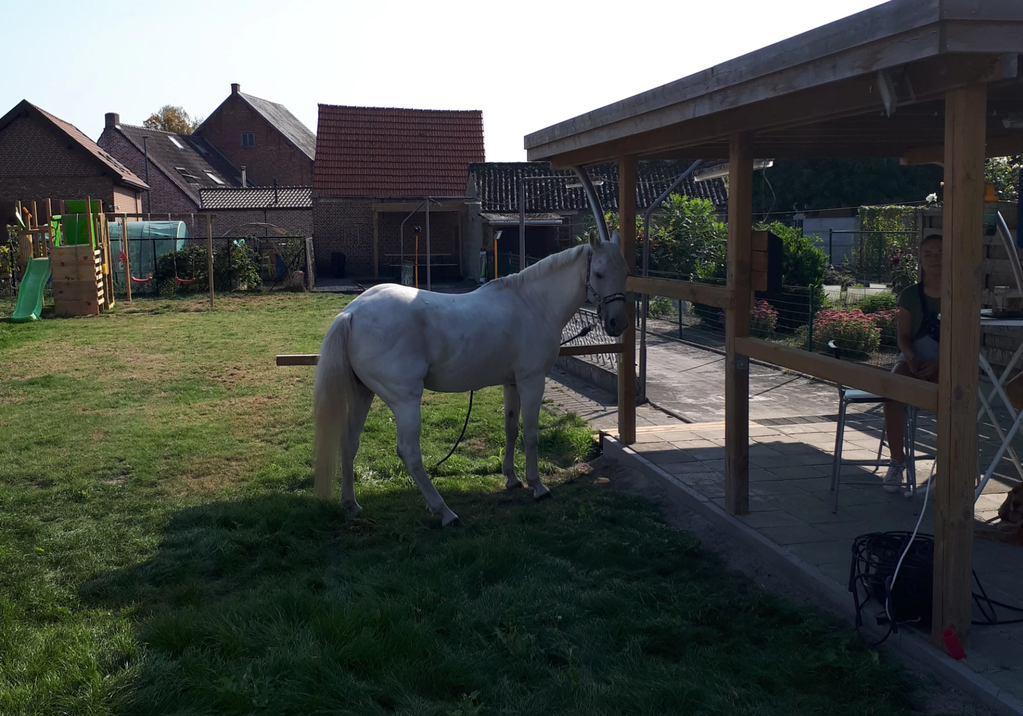 Foto van Den Dorstige Duiker BV