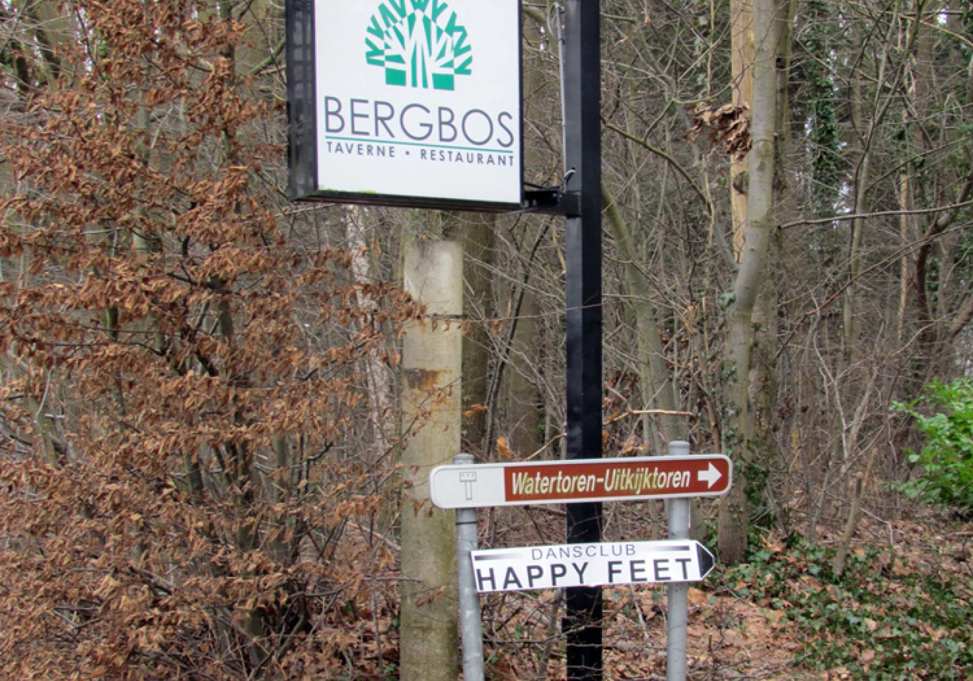 Foto van Bergbos