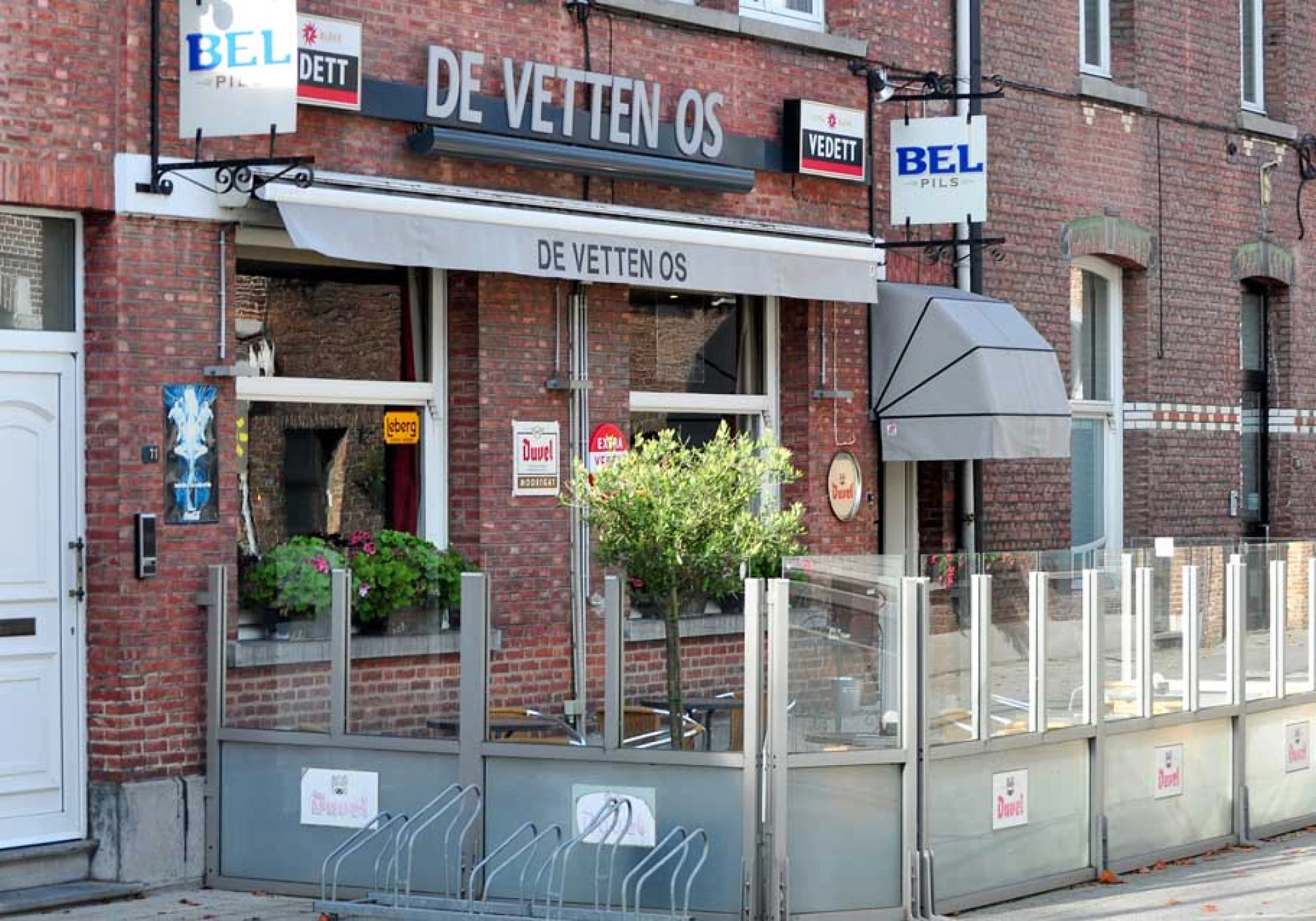 Foto van De Vetten Os