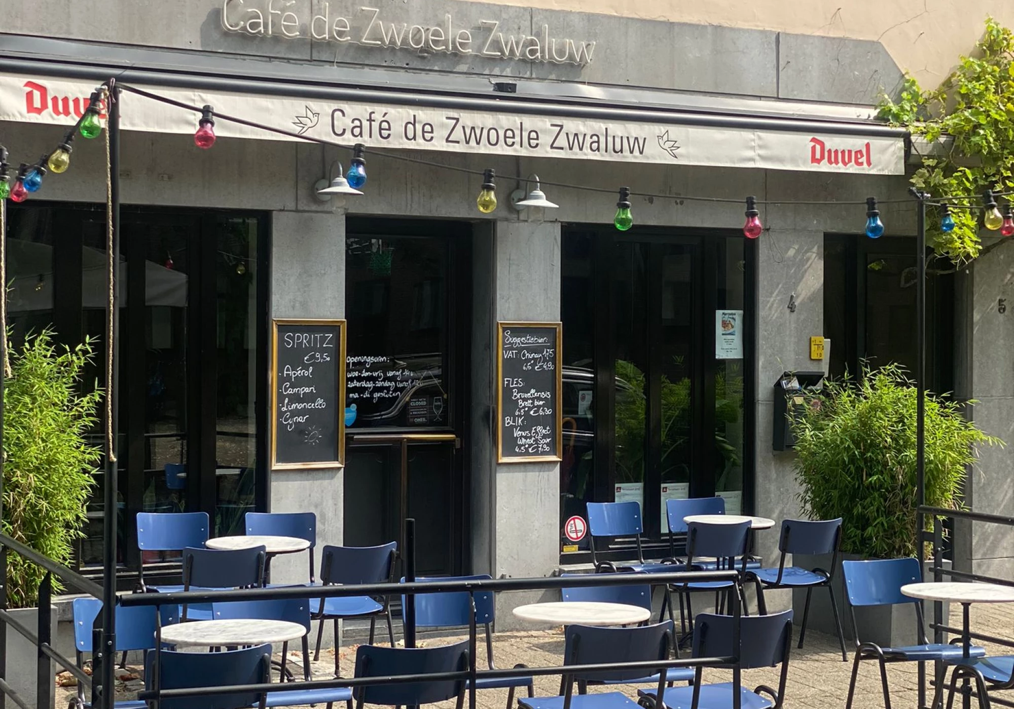 Foto van De Zwoele Zwaluw
