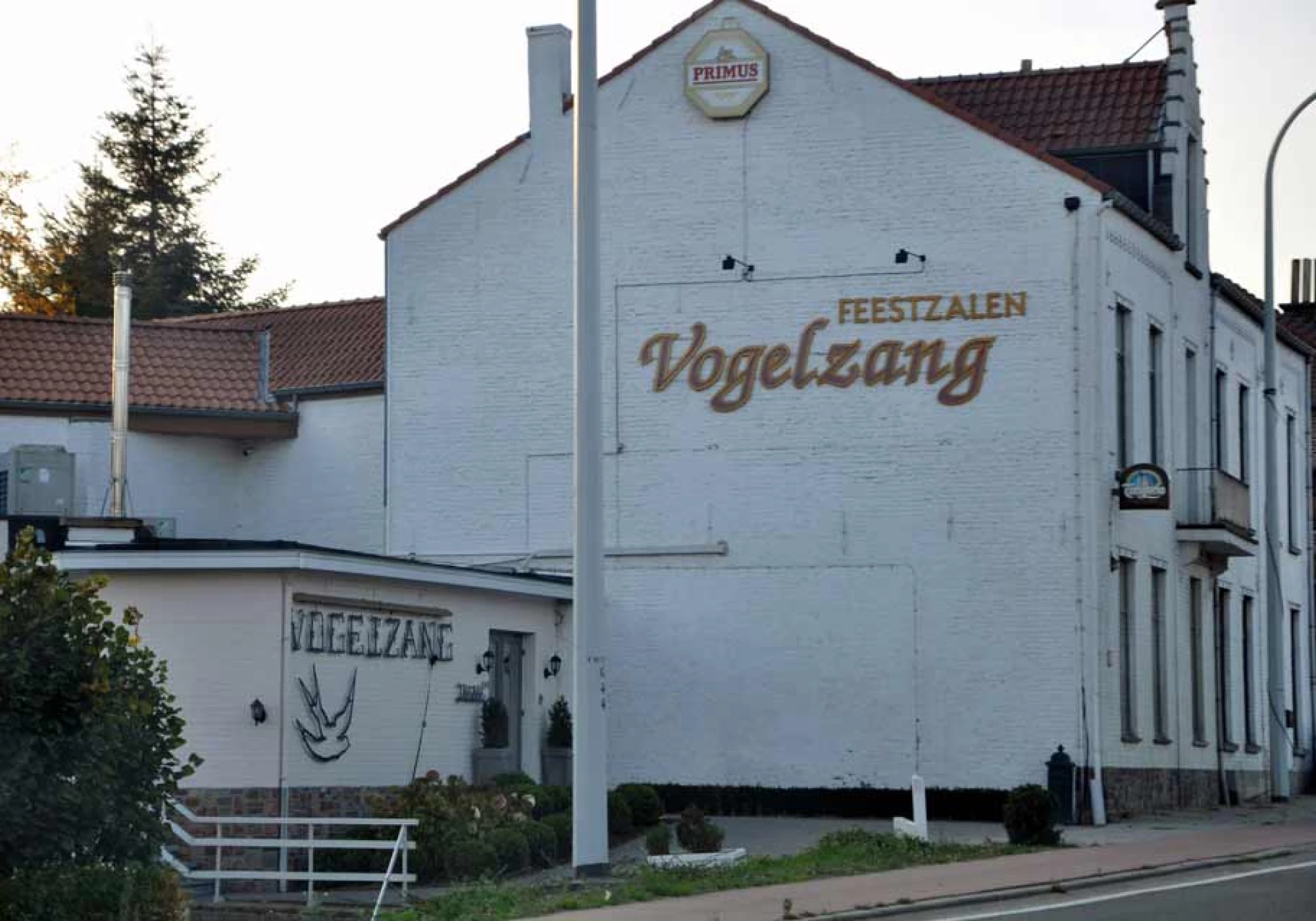 Foto van Vogelzang