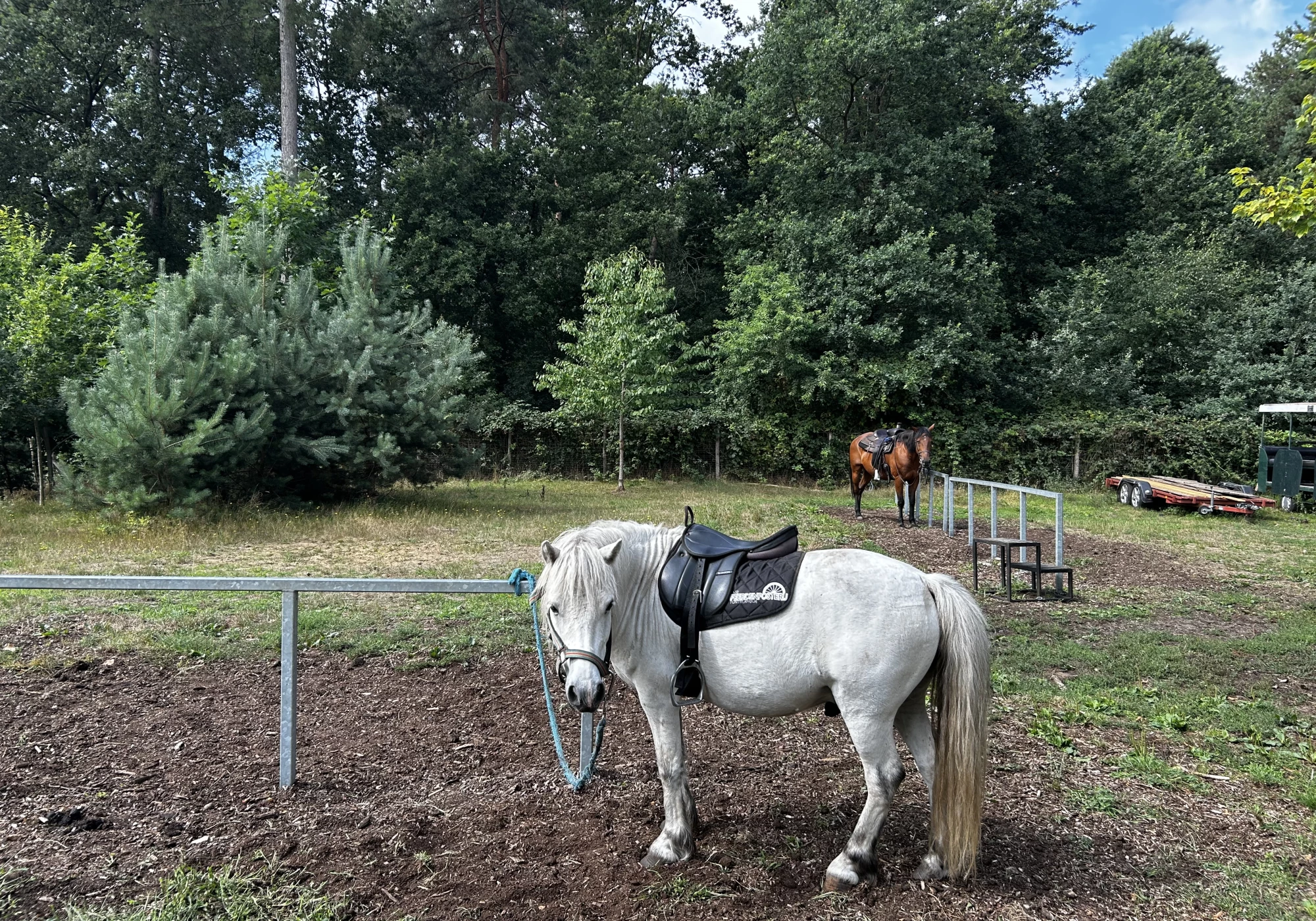 Foto van De Peerdenposterij