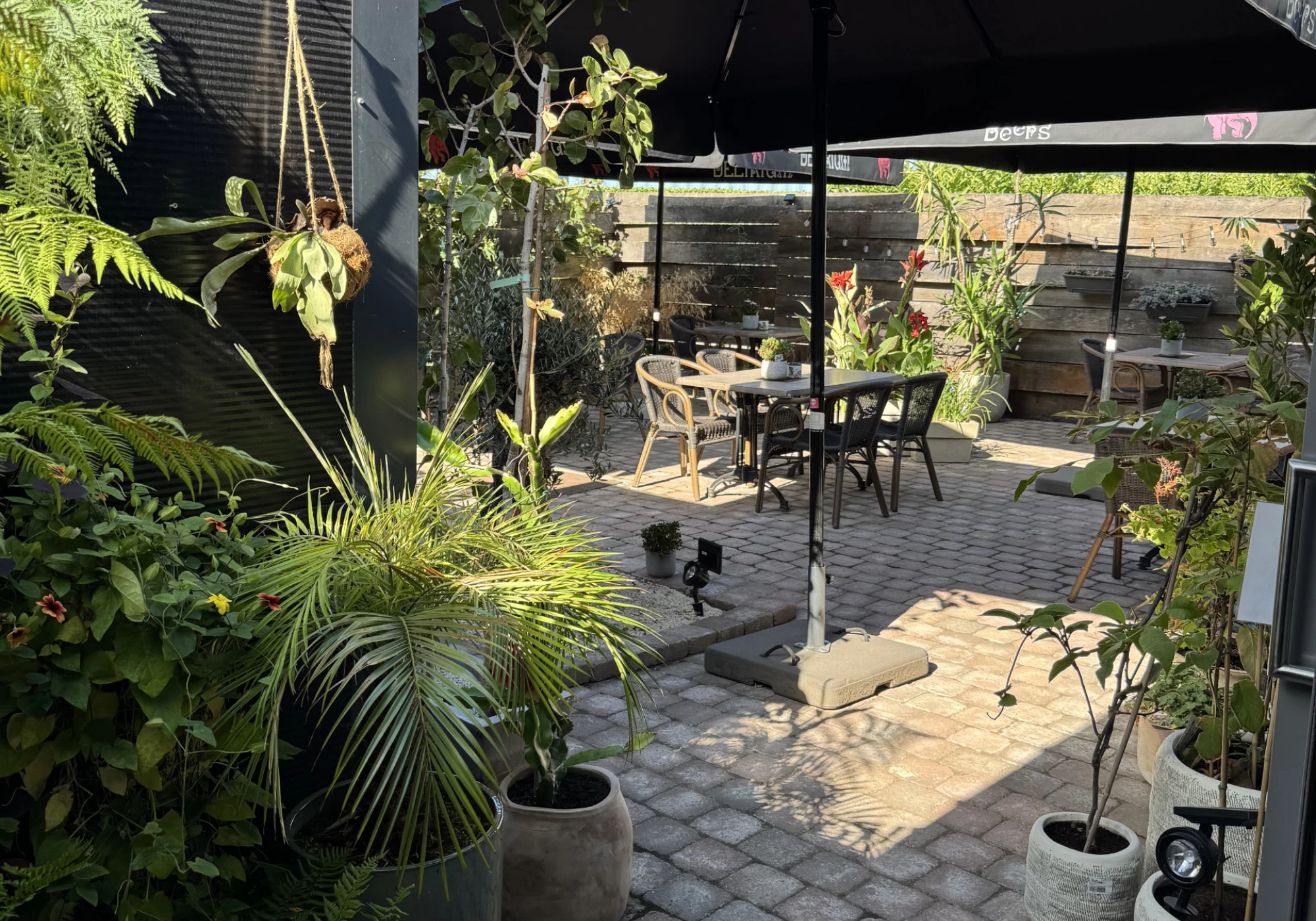 Foto van De Waterskikloon