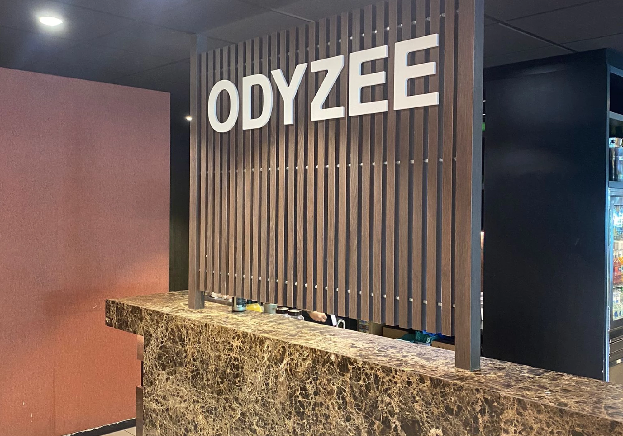 Foto van Odyzee