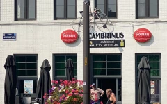 Foto van Cambrinus