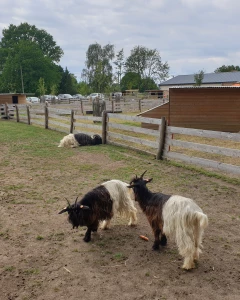 Foto van Bollekeshoeve 3
