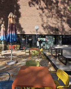 Foto van Barzoen 5