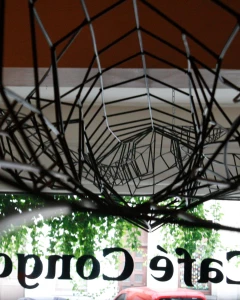 Foto van Café Congo 3