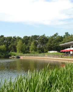 Foto van Campinastrand 4