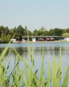 Foto van Campinastrand 5
