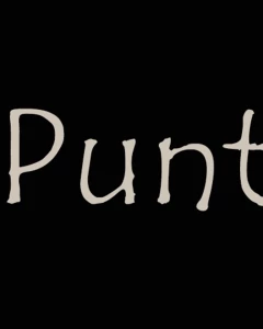 Foto van Punt 