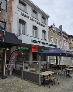 Foto van De Leeuw van Vlaanderen