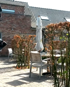 Foto van De Wingerd 3