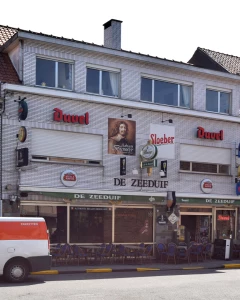 Foto van De Zeeduif