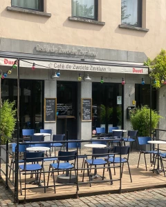 Foto van De Zwoele Zwaluw