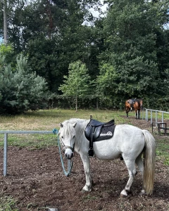 Foto van De Peerdenposterij 7