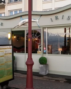 Foto van Iris