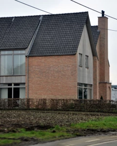 Foto van Pastinaak