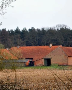 Foto van Prinsenhof 2
