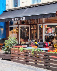 Foto van Woodpecker 47