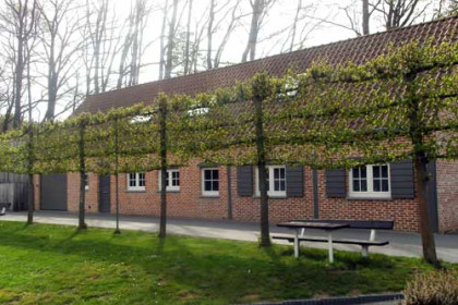 Foto van Tc de Bergen