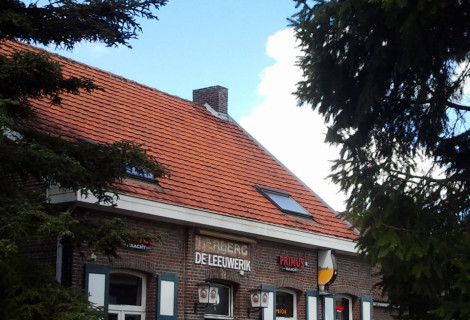 Foto van De Leeuwerik