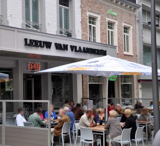 Foto van De Leeuw van Vlaanderen